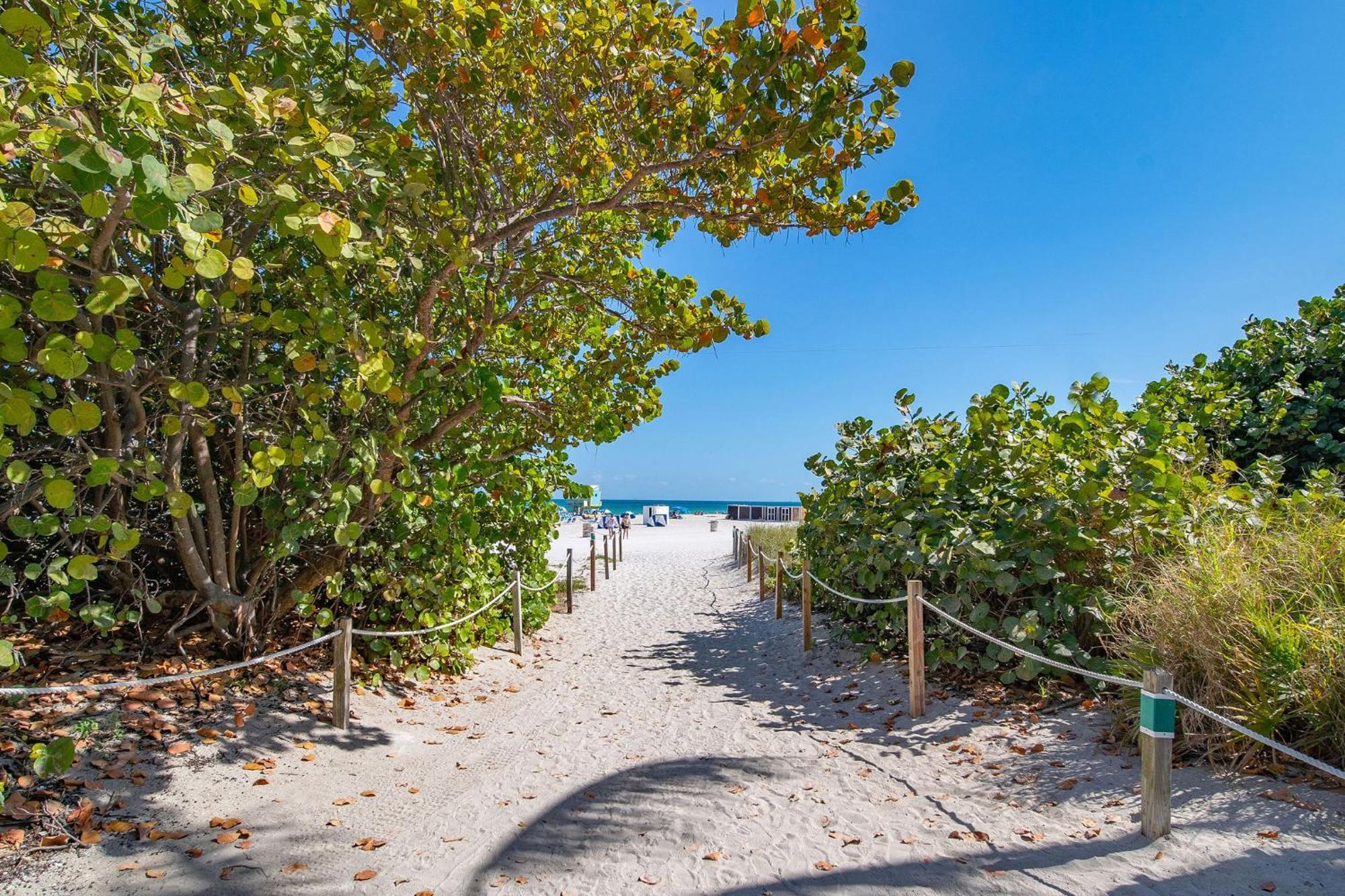Charming Large Studio Near Ocean Dr - South Beach Miami Beach Extérieur photo