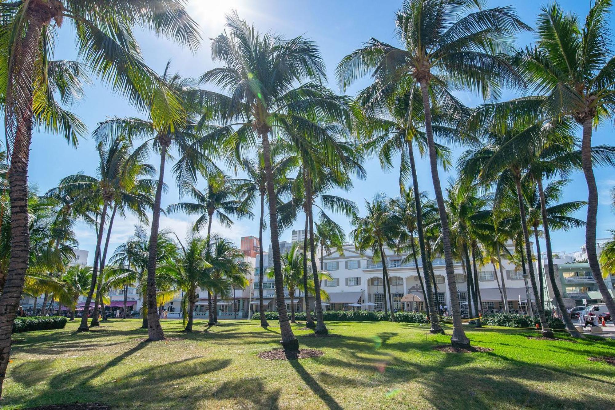 Charming Large Studio Near Ocean Dr - South Beach Miami Beach Extérieur photo